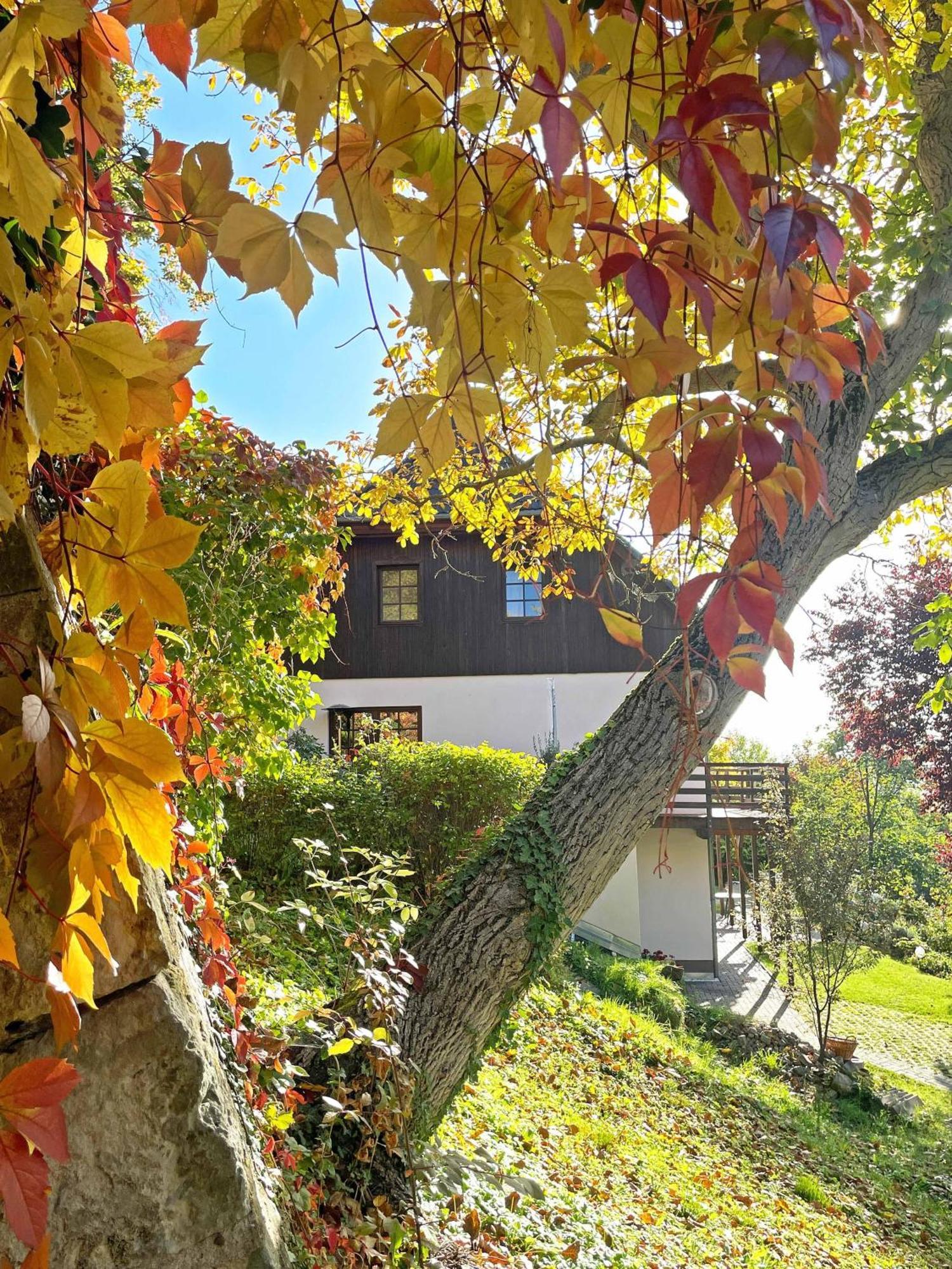 Ferienwohnung-Am-Suedhang Muglitztal Exterior foto
